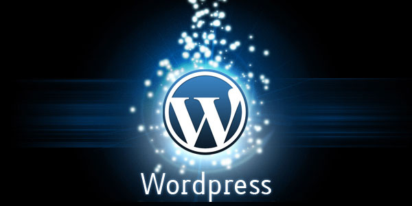 WordPress Temaları
